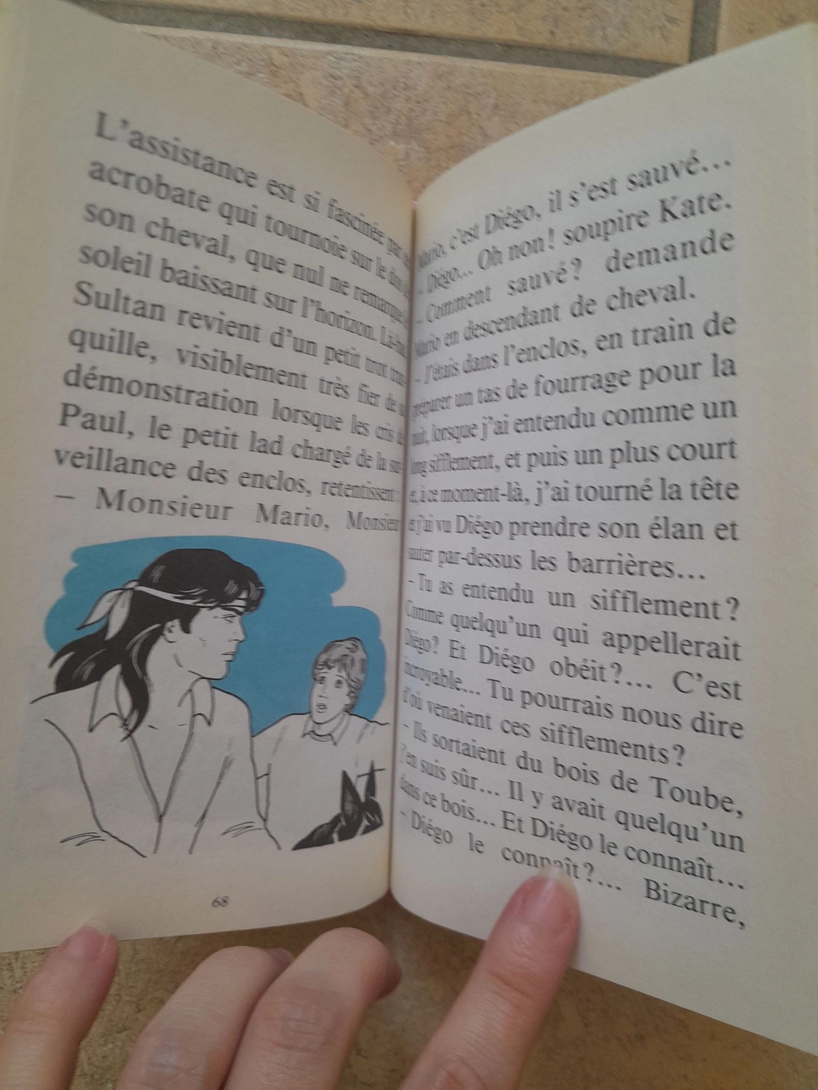 Livre barbie au pays des chevaux bon état  – photo 5